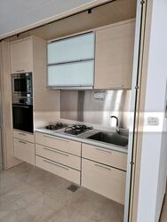 8 @ Mount Sophia (D9), Condominium #507366151